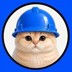 CatOnBase token image