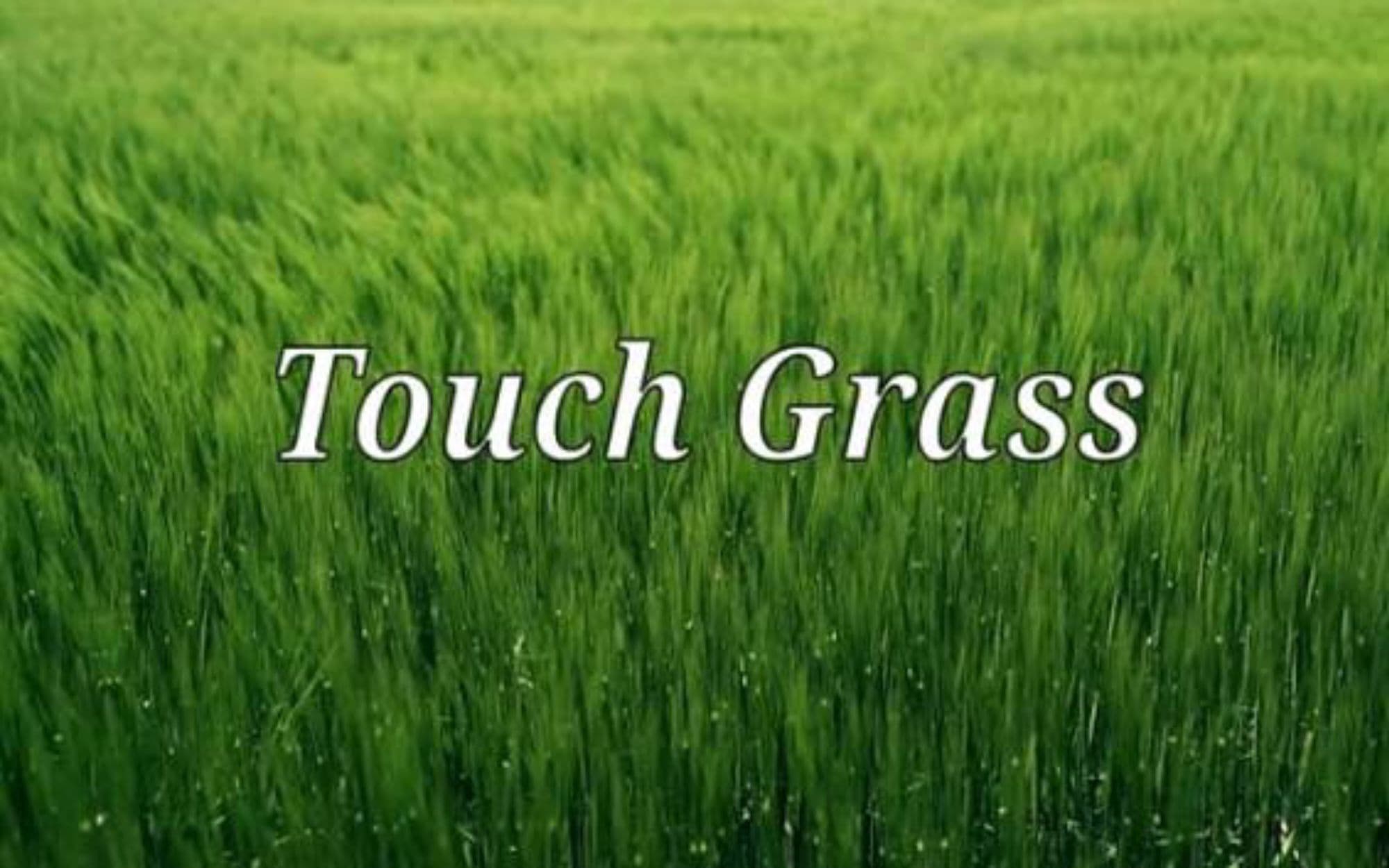 Touch Grass token image