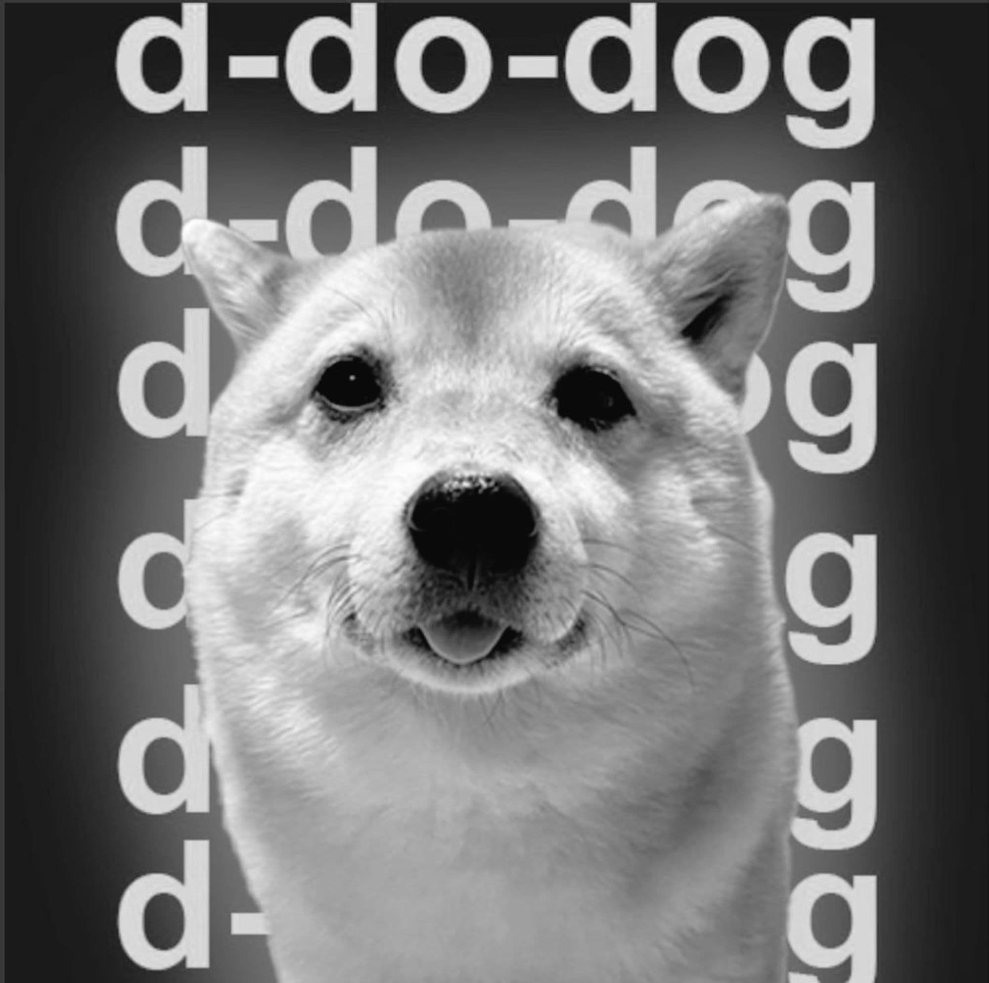 SILVERDOG token image