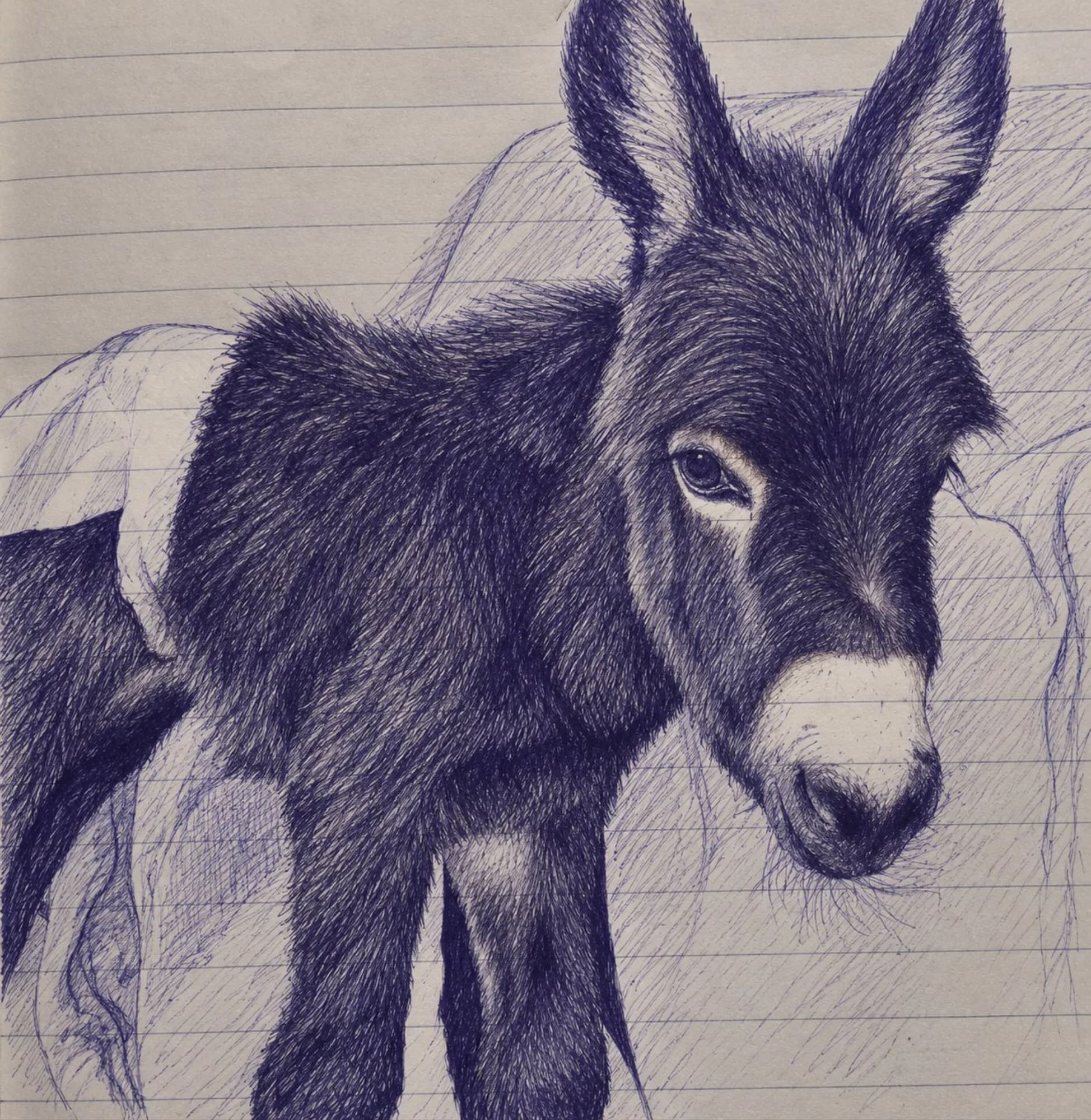 The little donkey token image