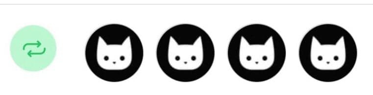 Anonymous Cat token image