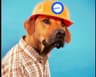 BUILDR