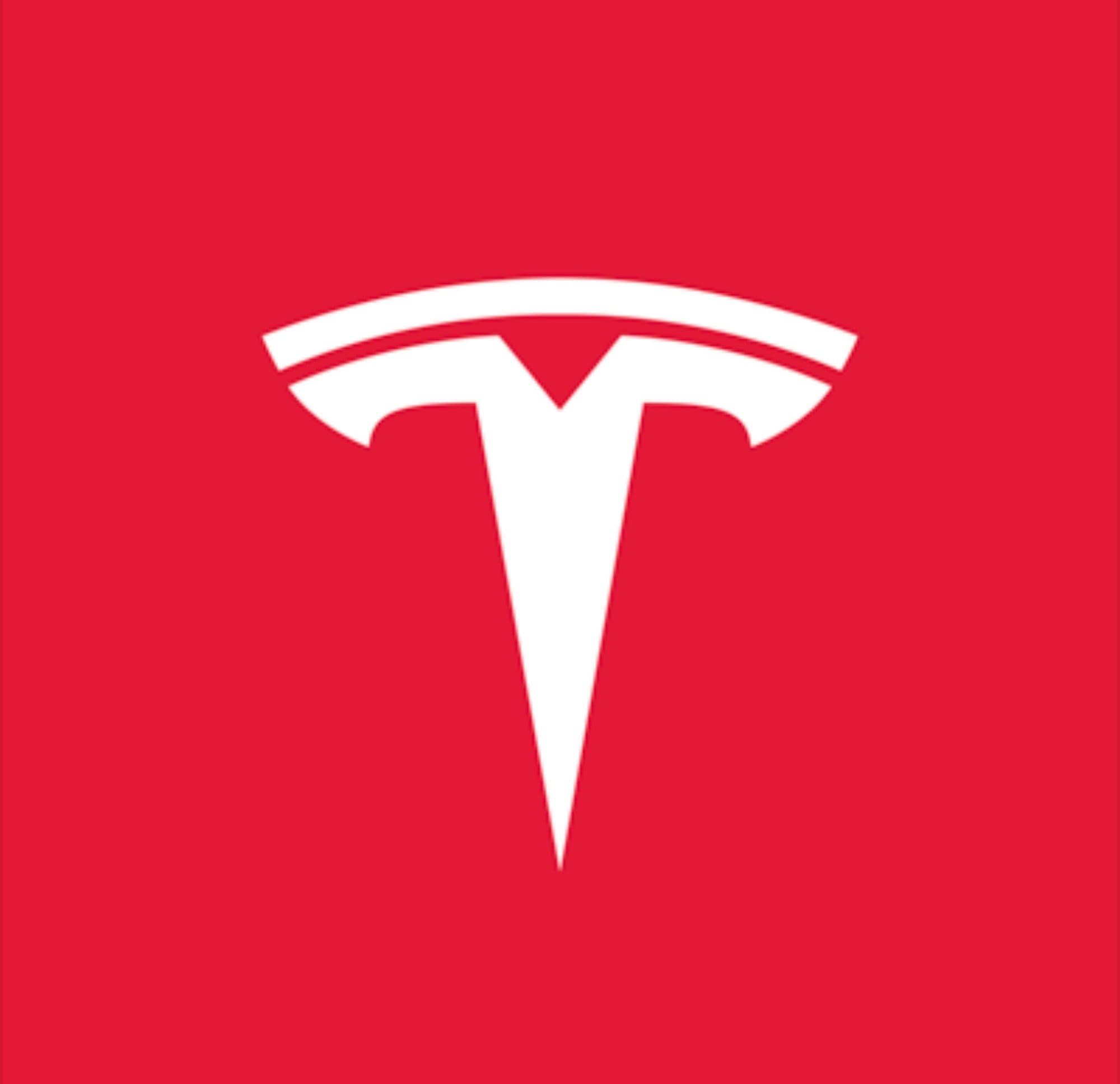 TESLAXBT token image