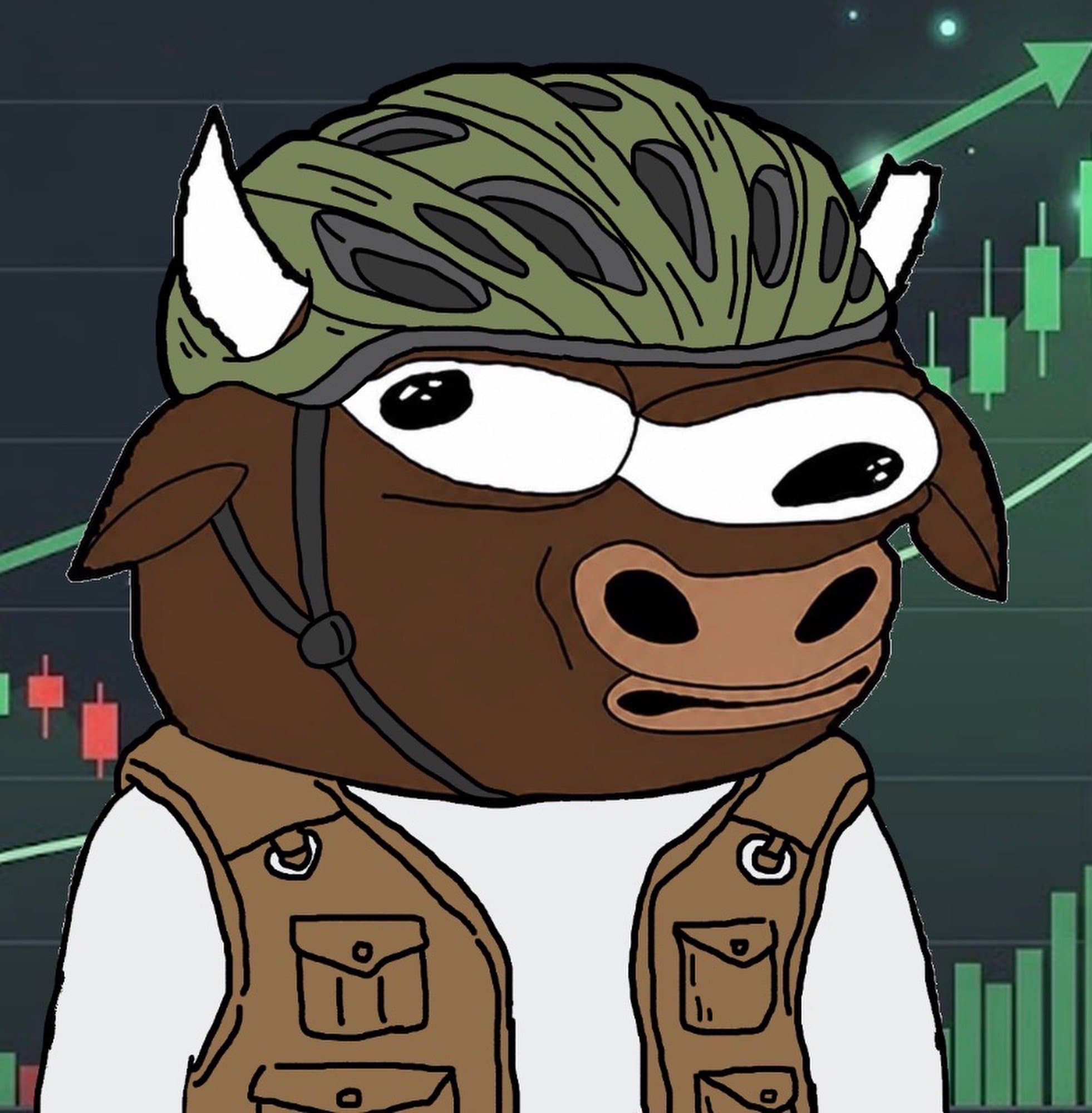 BULLTARDIO token image