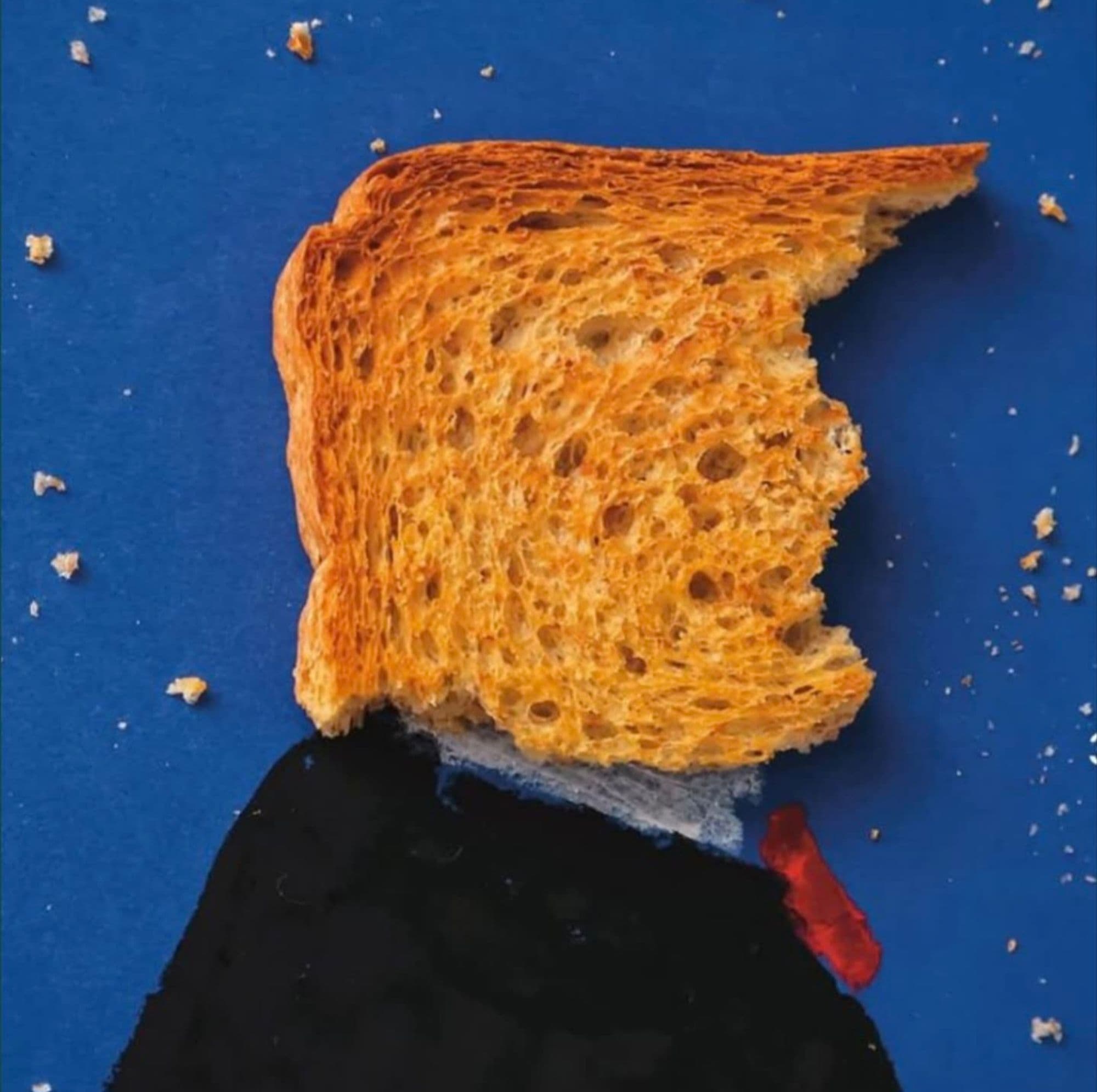 Trump on Monad token image