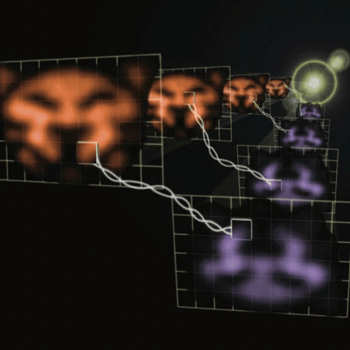 Quantum Cat token image
