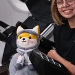 ASTEROID token image