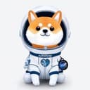 Asteroid Shiba Base
